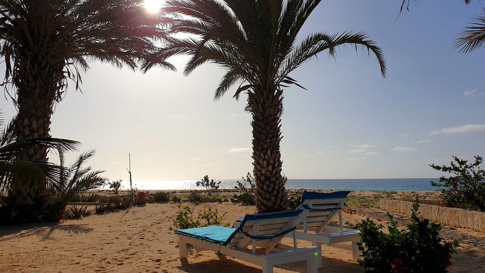Beachhaus Praia de Chaves, foto – Giardino con palme e lettini