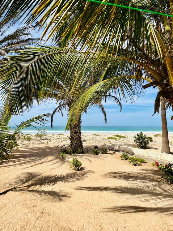 Strandhaus Boa Vista, Foto – Palmen am Strand