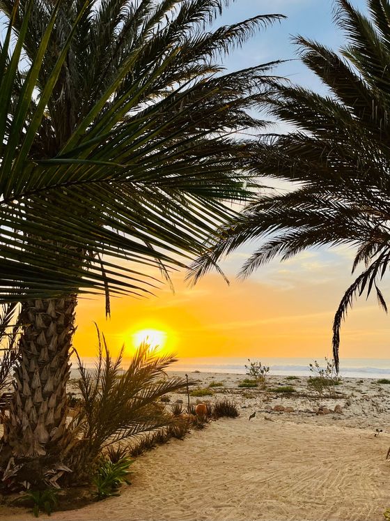 Strandhaus Boa Vista, Foto – Sonnenuntergang zwischen Palmen
